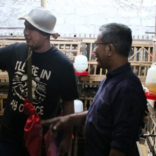 Wisata Edukasi Budidaya Ayam KUB Sleman